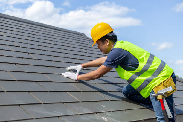 Best Chimney Flashing Repair  in Dayton, MN