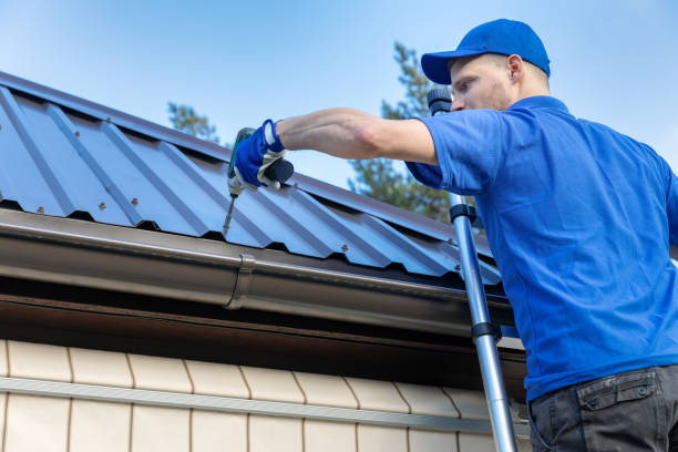 Best Metal Roofing Installation  in Dayton, MN