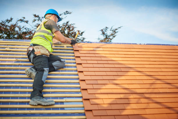 Best Green or Eco-Friendly Roofing Solutions  in Dayton, MN